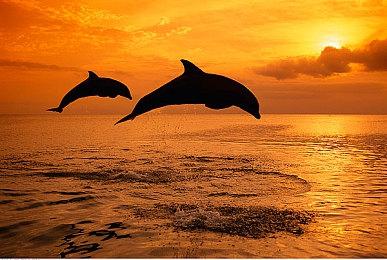 《时空分裂者》开发商Free Radical即将被关闭