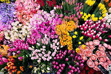 国产开放世界武侠游戏《燕云十六声》首次线上测试 定档6月