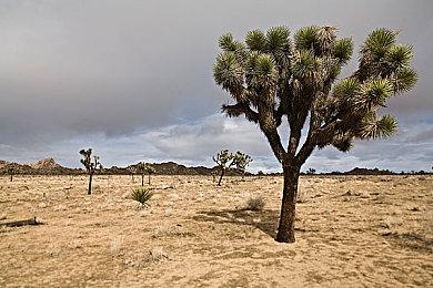 《日本游戏大奖2022》未来组公布 卧龙如龙莱莎3等获奖